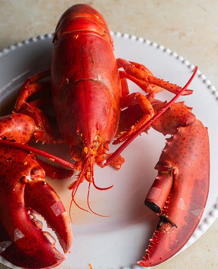 How To Boil Lobster