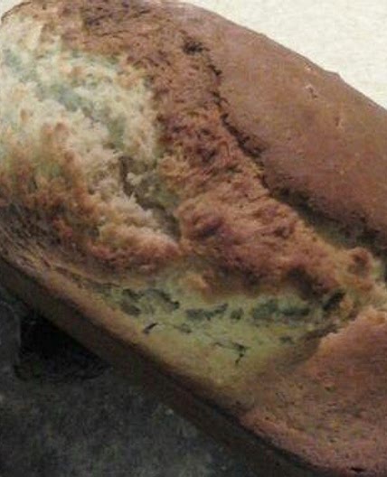 Sunflower Sesame Oat-Pulp Bread