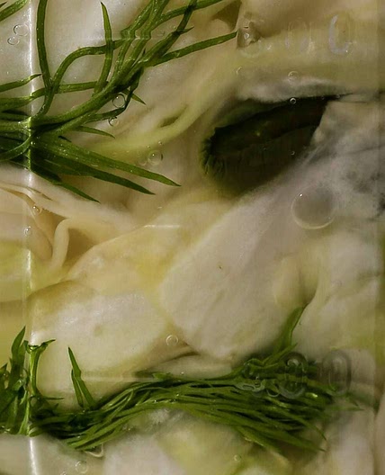 Roasted Jalapeno Sauerkraut with Dill and Garlic