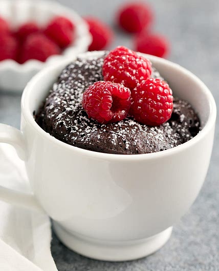 3 Ingredient Keto Chocolate Mug Cake