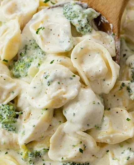 Tortellini Alfredo