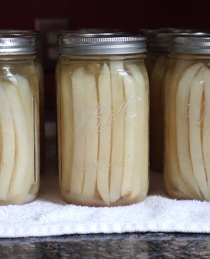 Canning French Fries