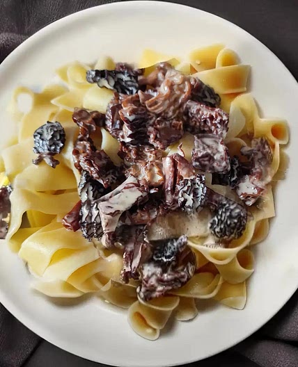 Morel Mushroom Creamy Pasta