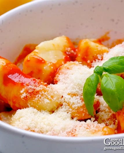 Ricotta Gnocchi in Tomato Sauce