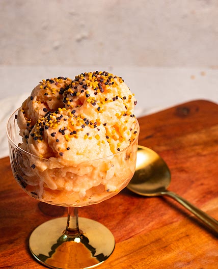 Blender Cantaloupe Frozen Yogurt