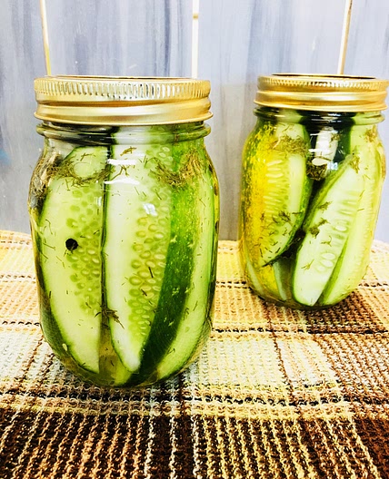 Refrigerator Dill Pickles
