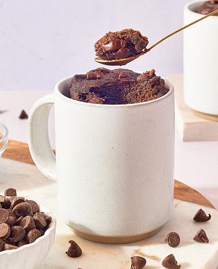 Chocolate Shakeology Mug Cake