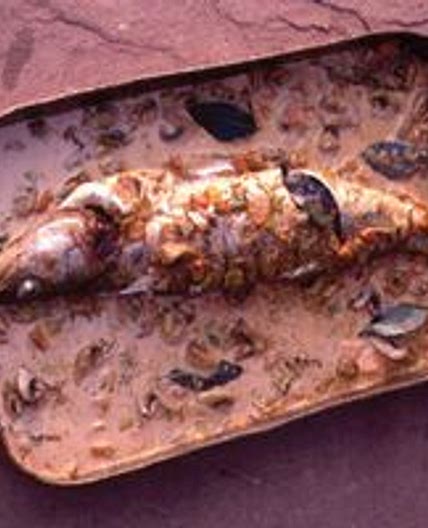 Pike Perch Braised in Pinot Noir