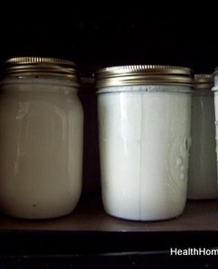 Making SCD/GAPS Yogurt in the Dehydrator