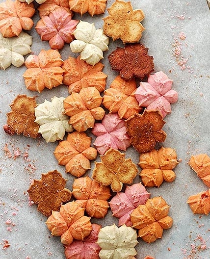 Pumpkin Spice Spritz Cookies