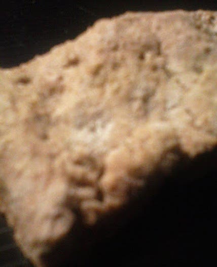 Oat Pulp Doggie biscuits