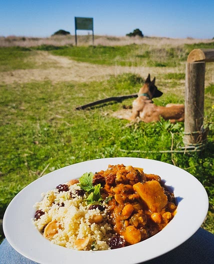 Moroccan inspired stew
