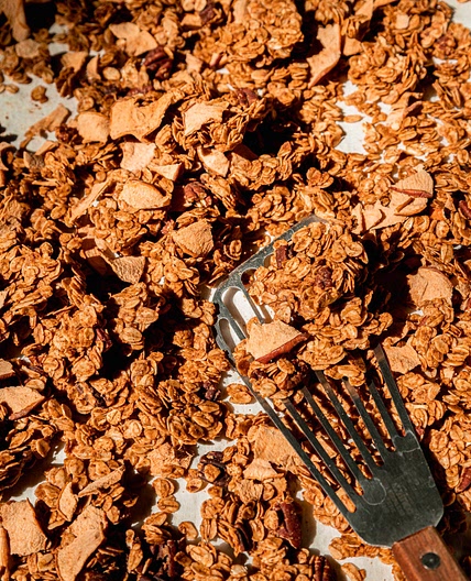 Clumpy Apple Cinnamon Granola with Pecans