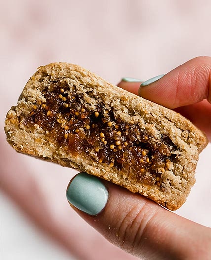 Homemade Gluten Free Fig Newtons (Copy cat, Paleo, AIP)