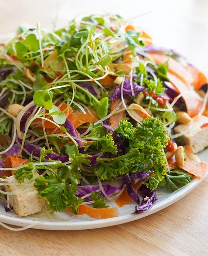 Deconstructed Spring Roll Salad