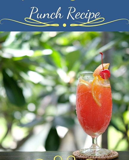 Sparkling Fruit Punch Recipe