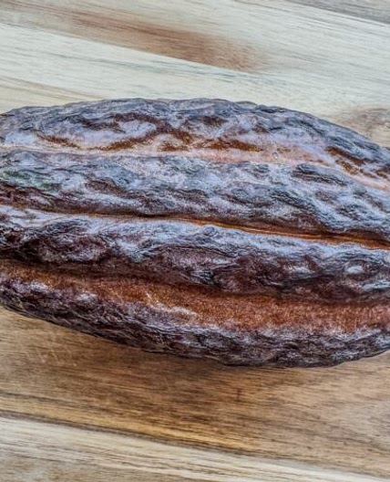 Fresh Cacao Smoothie