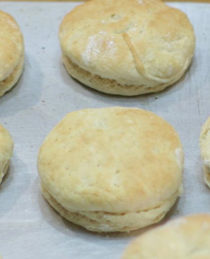 Easy Homemade Biscuits