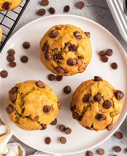 Chocolate Chip Pumpkin Muffins