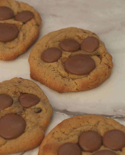 Bear paw cookies