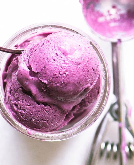 No Churn Wild Blueberry Frozen Yogurt (3 ingredients!)