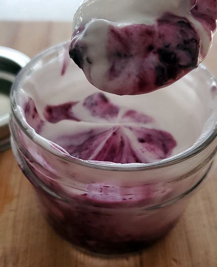 Instant Pot Dairy-Free Coconut Yogurt