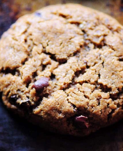 Peanut Butter Cacao Nib Coconut Flour Cookies (Gluten-Free, Dairy-Free, Refined Sugar-Free)