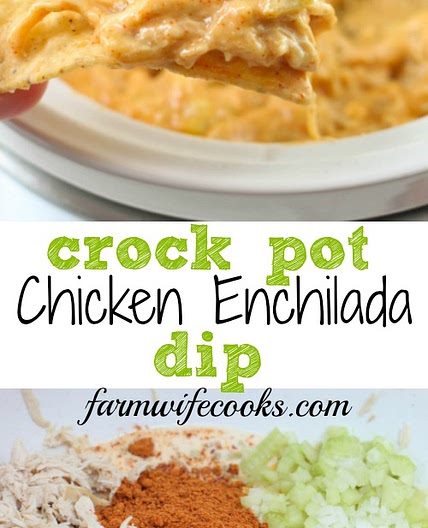 Crock Pot Chicken Enchilada Dip
