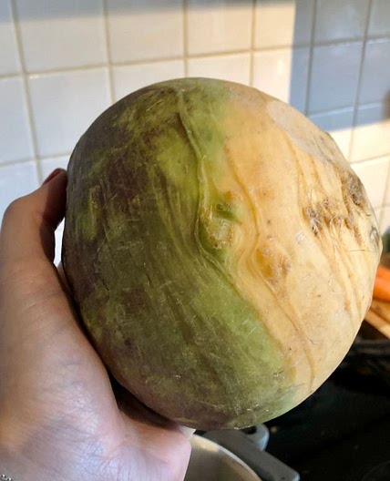 Microwave singing swede