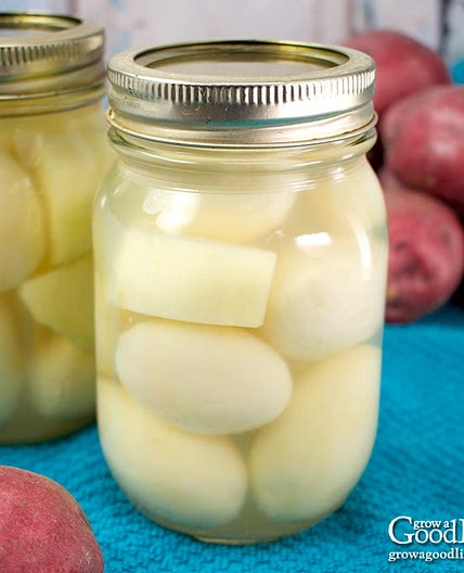 Pressure Canning Potatoes
