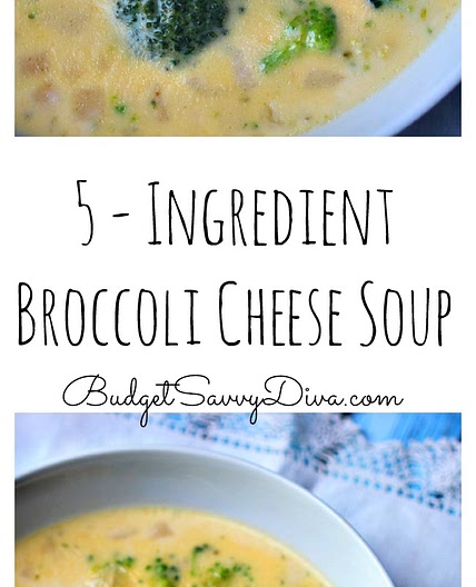 5 - Ingredient Broccoli Cheese Soup Recipe