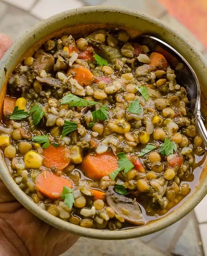 Quick and Easy Lentil Soup with Rice
