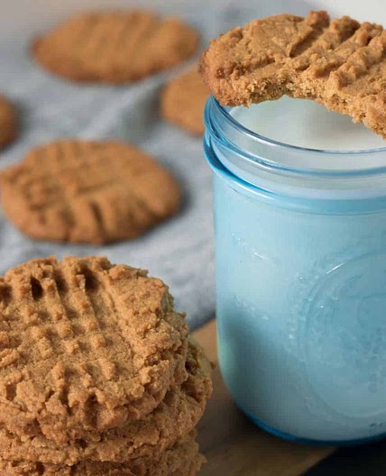 Sugar Free Peanut Butter Cookies