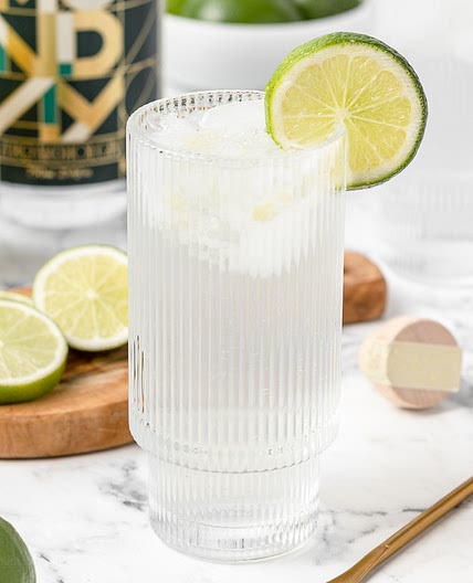 Gin and Tonic Mocktail