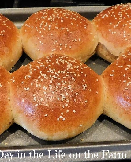 Sourdough Hamburger Buns