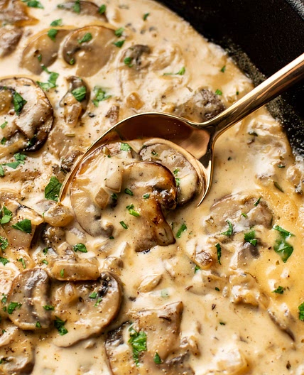 Creamy Mushroom Sauce