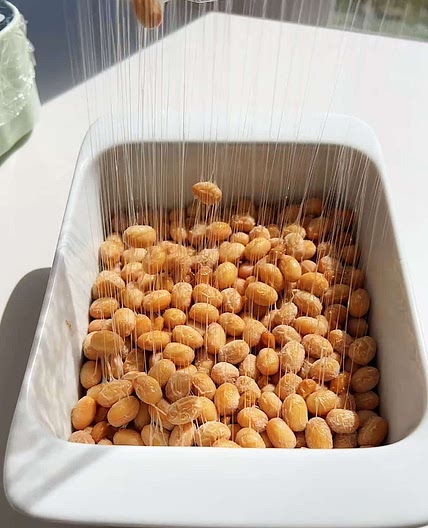 How to Make Natto (Recipes with and without a starter)