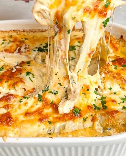 Chicken Alfredo lasagna