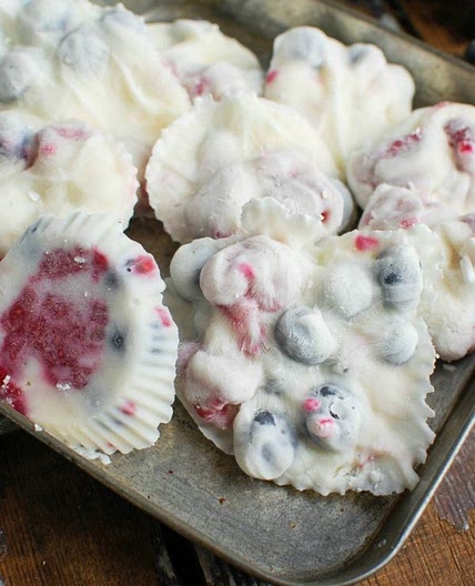 Frozen Greek Yogurt Fruit Bites
