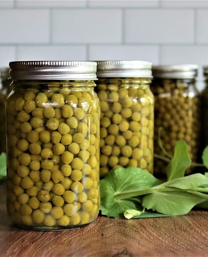 Canning Peas
