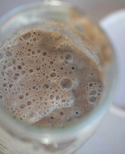 Rye Sourdough Starter