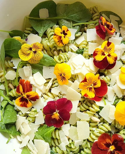 Green pasta salad with edible flowers