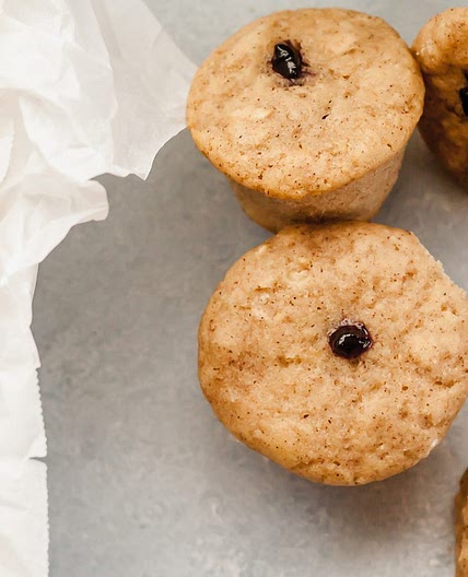 Jelly Doughnut Holes