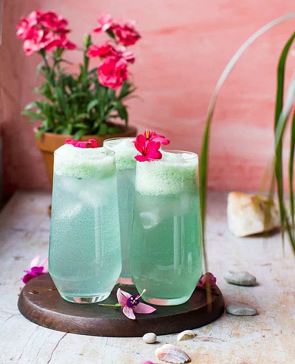 Aloe-ha Cucumber Gin and Tonic