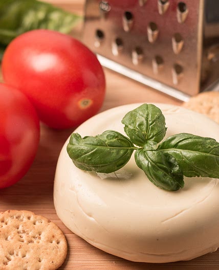 Oil Free Vegan Mozzarella That Melts