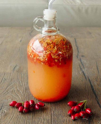 Rosehip Wine recipe (and Mead)