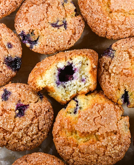 Blueberry Muffin Recipe