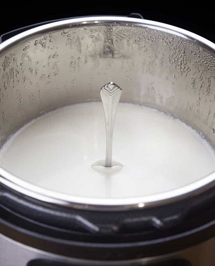 Instant Pot Yogurt #12