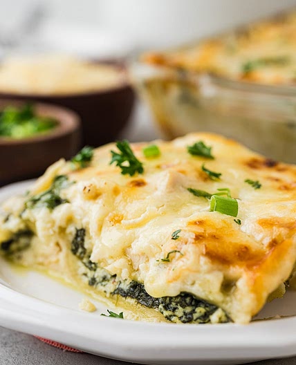 Chicken Alfredo Lasagna