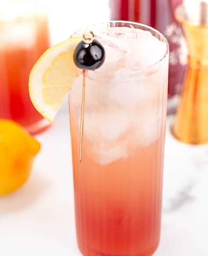 Sloe Gin Fizz